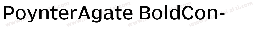 PoynterAgate BoldCon字体转换